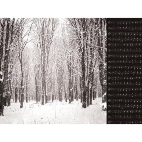 Designpapier: Kaisercraft – Christmas Edition Collection – Snowcapped
