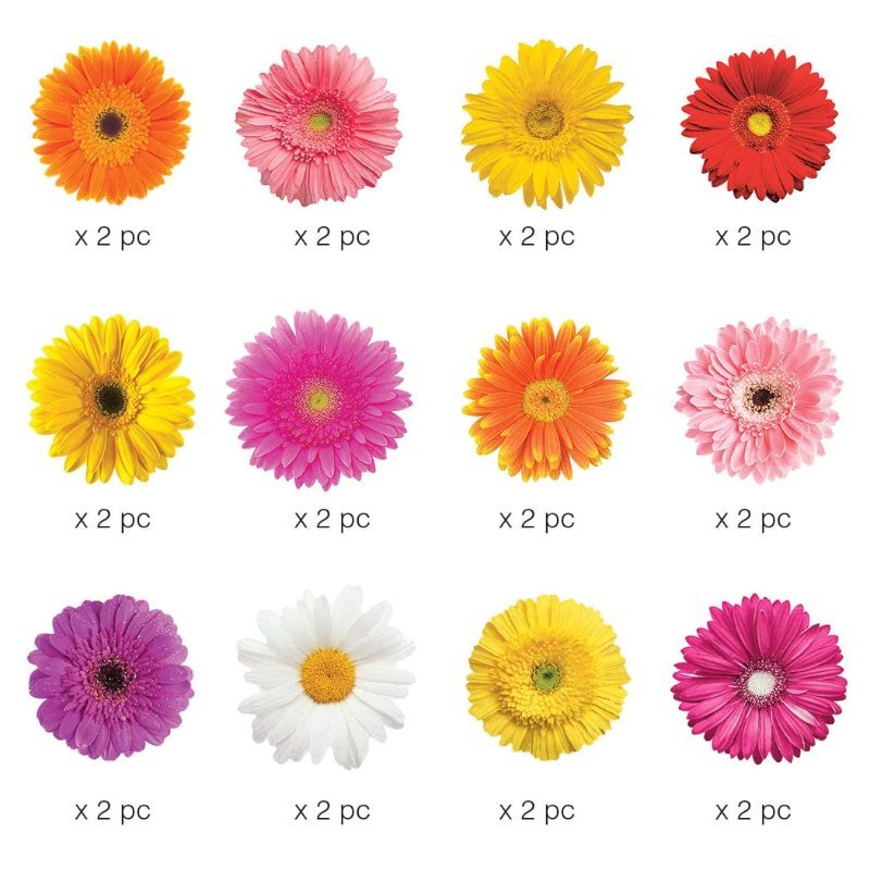 Aufkleber: Paper House – Scrapbook Stickers – Daisies Die Cut Sticker Pack