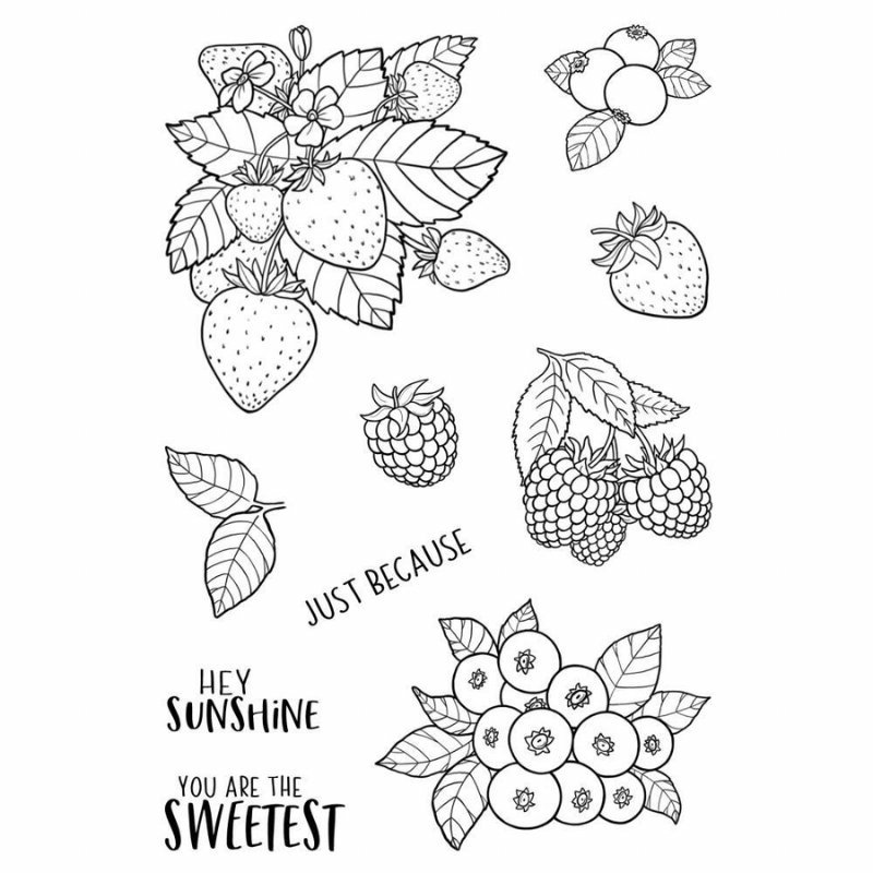 Acrylstempel: Jane’s Doodles – Berries
