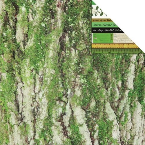 Designpapier: Kaisercraft – Limelight Kollektion – Today