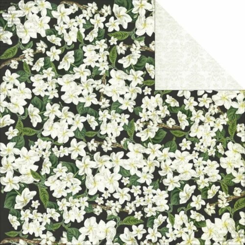 Designpapier: Kaisercraft – Limelight Kollektion – First Step