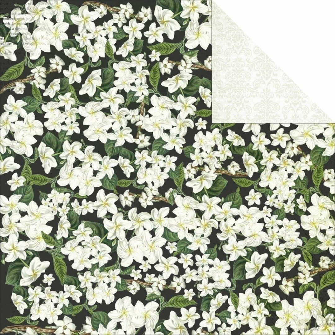 Designpapier: Kaisercraft - Limelight Kollektion - First Step